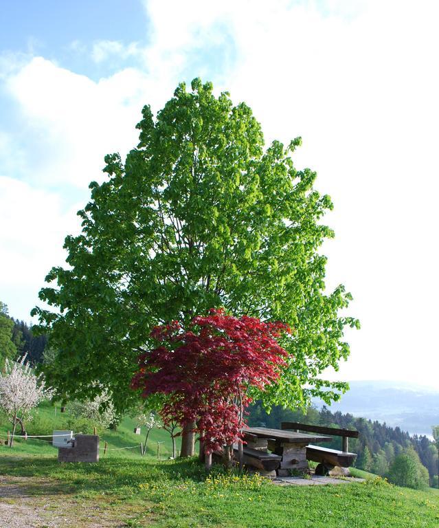 Hochsernerhof Hotel Tiefgraben Exterior foto